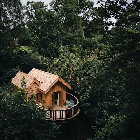 Wildhive Callow Hall Ашбърн Екстериор снимка