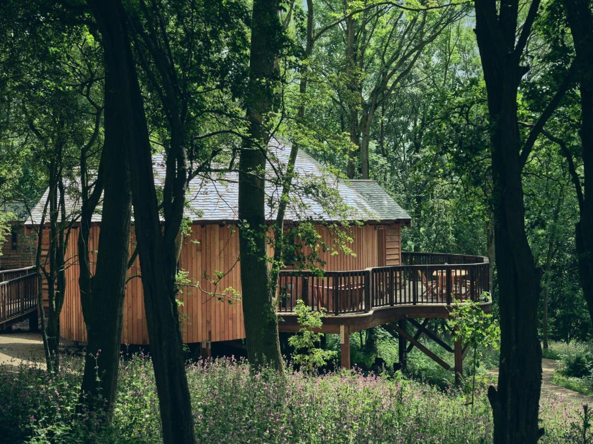 Wildhive Callow Hall Ашбърн Екстериор снимка