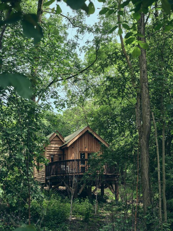 Wildhive Callow Hall Ашбърн Екстериор снимка